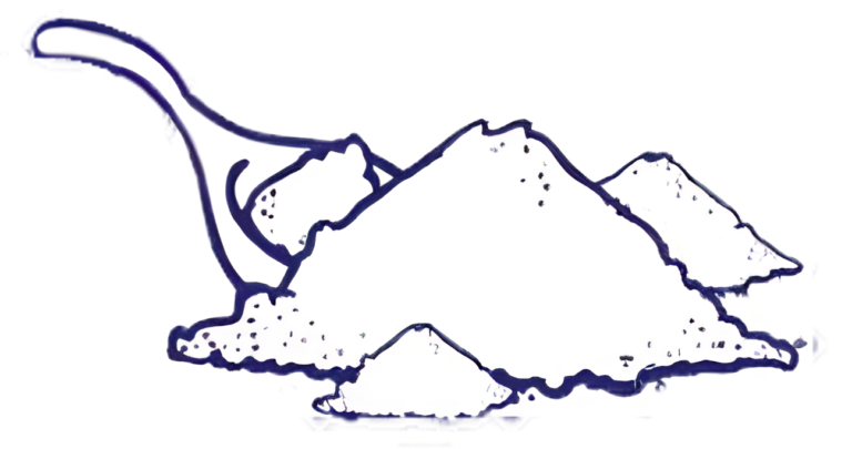 Bienvenido a nuestra nueva página web